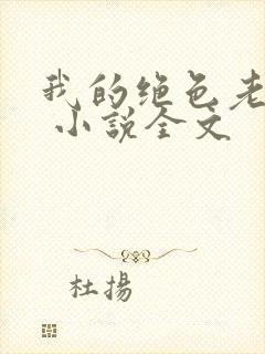 我的绝色老板娘 小说全文封面