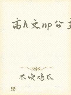高h文np公主