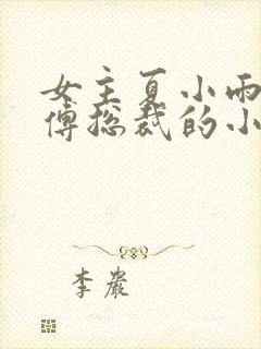 女主夏小雨男主傅总裁的小说封面