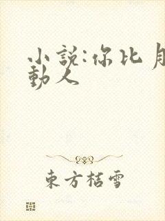 小说:你比月色动人