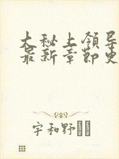 大秘上领导夫人最新章节更新封面