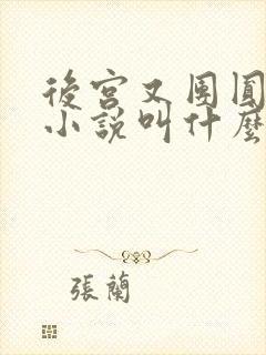 后宫又团圆原著小说叫什么名字