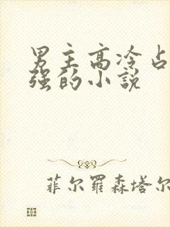 男主高冷占有欲强的小说