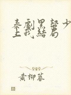 泰剧黑帮少爷爱上我结局封面