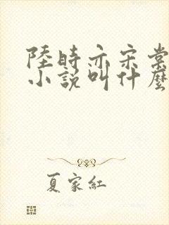 陆时亦宋棠原著小说叫什么