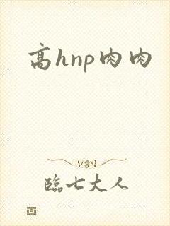高hnp肉肉封面