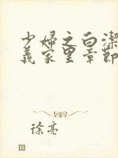 少妇之白洁去高义家里章节封面