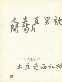 人夫直男被下药开菊h