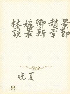 林婉卿赵景玄小说最新章节更新内容