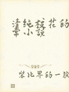 清纯校花的被日常小说