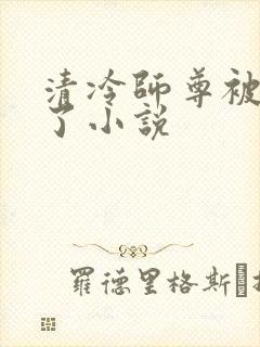 清冷师尊被c爽了小说