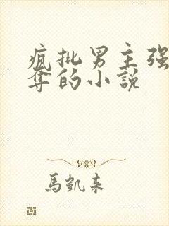 疯批男主强取豪夺的小说