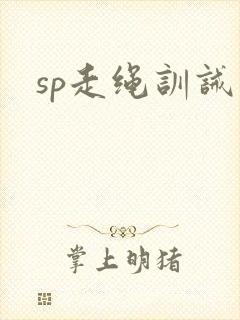 sp走绳训诫文封面