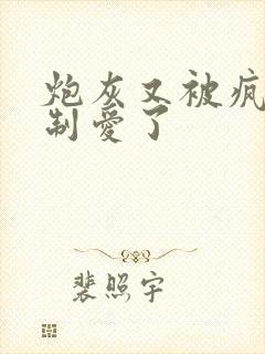 炮灰又被疯批强制爱了