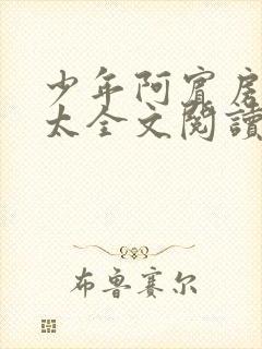 少年阿宾房东太太全文阅读章节目录