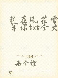 我在风花雪月里等你txt全文下载