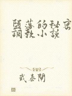 堕落的秘密老总调教小说封面