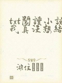 txt阅读小说我真没想结婚啊