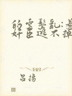 的云鬓乱:惹上奸臣逃不掉