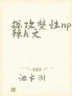 总攻双性np高辣h文