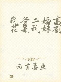 我爸二婚高冷校花是我妹剧情