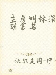 主角叫林深的小说书名封面