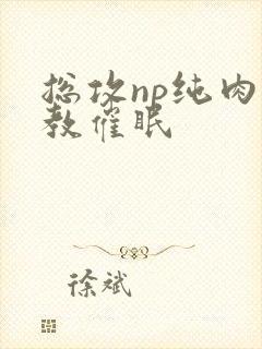 总攻np纯肉调教催眠