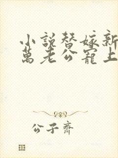 小说替嫁新娘亿万老公宠上天