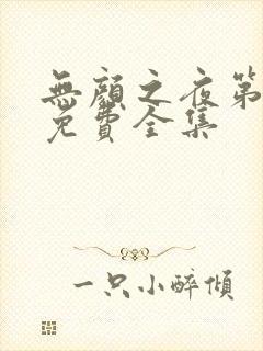 无颜之夜第一季免费全集