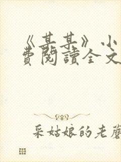 《某某》小说免费阅读全文封面