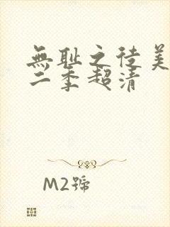 无耻之徒美版第二季超清