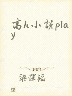 高h小说play