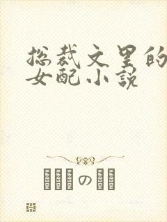 总裁文里的炮灰女配小说