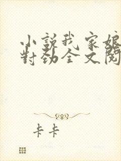 小说我家娘子不对劲全文阅读免费