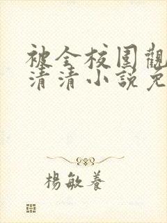 被全校围观的沈清清小说免费阅读