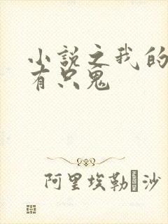 小说之我的体内有只鬼封面