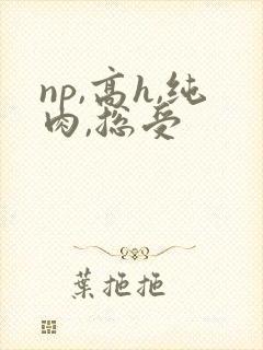 np,高h,纯肉,总受封面