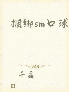 捆绑sm口球