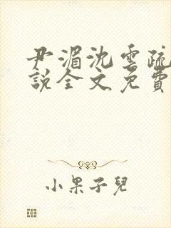 尹湄沈云疏的小说全文免费阅读