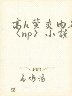 高h荤爽肉欲文〈np〉小说