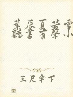 叶辰夏若雪孙怡听书有声小说