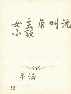 女主角叫沈o的小说