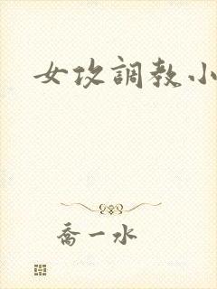 女攻调教小说h