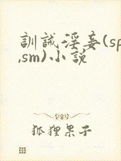 训诫淫妾(sp,sm)小说封面