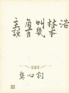 主角叫林浩的小说有几本