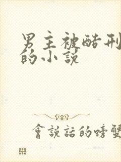 男主被酷刑调教的小说