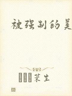 被强制的美人封面