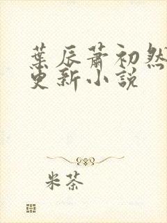 叶辰萧初然最快更新小说