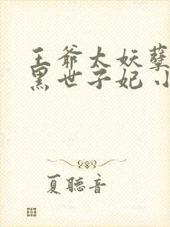 王爷太妖孽:腹黑世子妃 小说