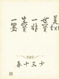 一生一世美人骨墨宝非宝txt